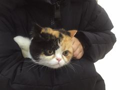 -安安宠医·安宠宠物医院