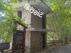 -华侨城湿地公园