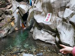 -黑河国家森林公园