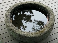 -朝安泰迪熊博物馆