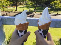 -神户市立六甲山牧场