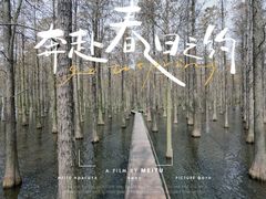 -渌洋湖湿地公园