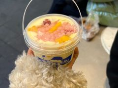 -溪边姑娘·拉丝酸奶水果捞(春熙路店)