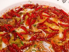 招牌老坛酸菜鱼-首秀·四川料理(星耀101店)