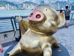 -星光大道
