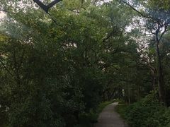 -西郊宾馆·1921餐厅