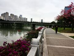 -光明港公园