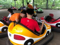 -杭州少年儿童公园