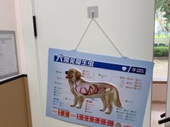 -瑞派康怡24h宠物医院·犬猫医疗中心·微创绝育(瑞景分院)