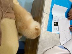 -萌兽医馆·犬猫专科·眼科中心·宠物医院(朝阳门分院)