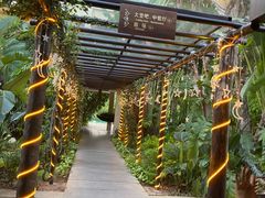 去餐厅的花路-三亚亚龙湾五号度假别墅酒店