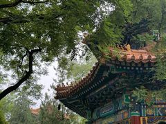 -北京国子监胡同