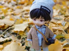 -长白岛森林公园