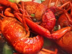 清水龙虾-香满锅老北京羊蝎子火锅·家常菜(新街口店)