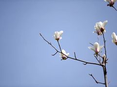 -西安交通大学(雁塔校区)
