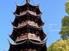 -龙华寺