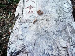 -冶父山国家森林公园