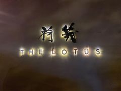 -几荷·恰似故人来(秀水广场店)