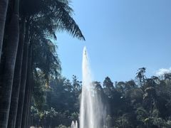 -西双版纳原始森林公园