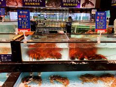 水产区-尚海豆捞(乐虹坊店)