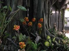 -碧桂园总部大楼