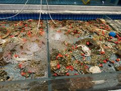 -一方渔歌蒸汽海鲜自助(文化路万达广场店)