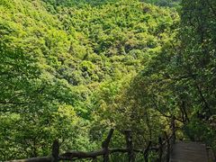 -大余丫山旅游度假区
