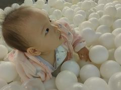 -Lilliput粒粒堡亲子餐厅(置汇旭辉店)