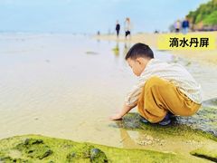-贝壳沙滩