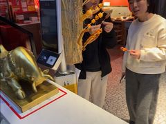 -杨记齐齐哈尔烤肉(总店)