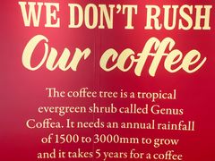 -COSTA COFFEE(百葛服务区店)