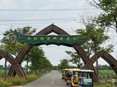 -池杉湖湿地公园