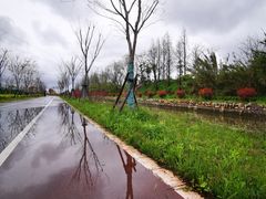 -上海长兴岛郊野公园