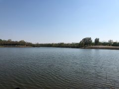 -东郊湿地公园