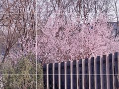 -三里河公园