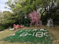 -美兰湖景区