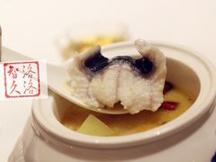酸湯鮰鱼-西郊5号·Maggie 5