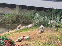 -无锡动物园·太湖欢乐园