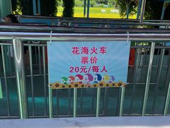 -百万葵园