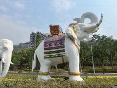 -西双版纳原始森林公园