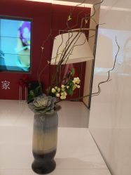 -Yestar艺星医疗美容医院