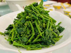 木姜子油丝瓜尖-汇贤府·李氏新鲁菜(万寿路店)