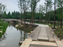 -澹台湖公园