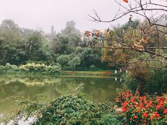 -厦门悦华酒店