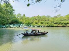 -西溪国家湿地公园