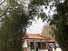 -西苑公园