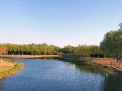 -大兴滨河森林公园