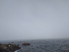 -黑石礁公园