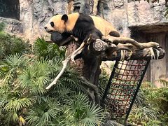 -石排湾郊野公园