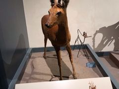 -大庆市博物馆
